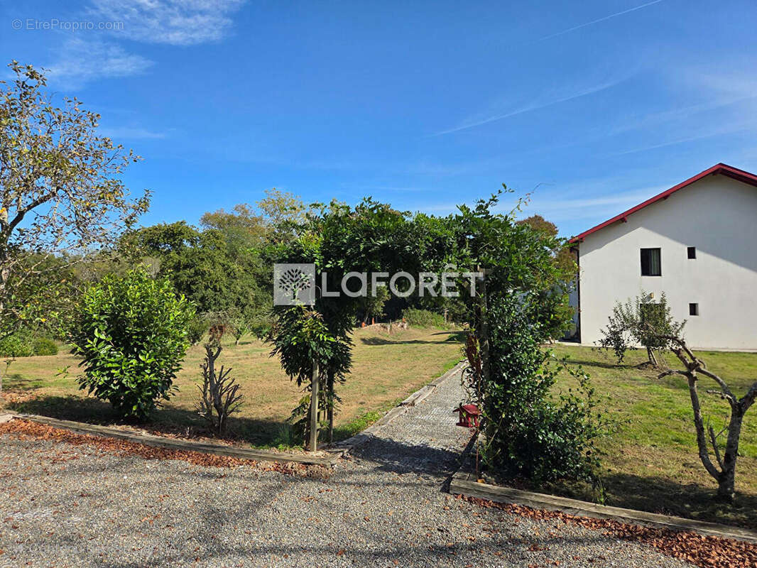 Maison à SAINT-JEAN-DE-MARSACQ