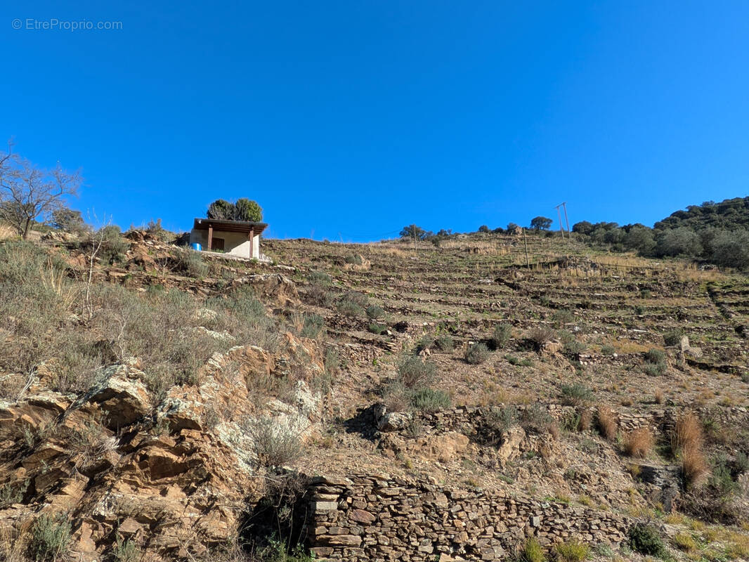 Terrain à COLLIOURE