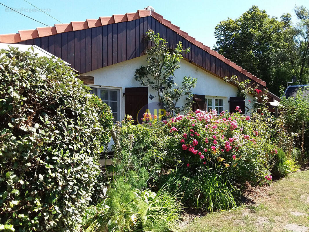 Maison à VENDAYS-MONTALIVET