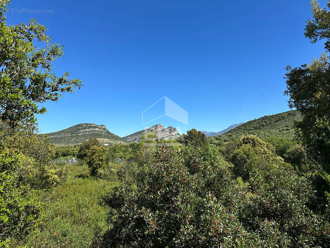 Appartement à OLETTA