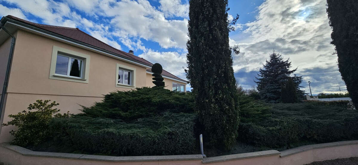 Maison à CREUZIER-LE-VIEUX