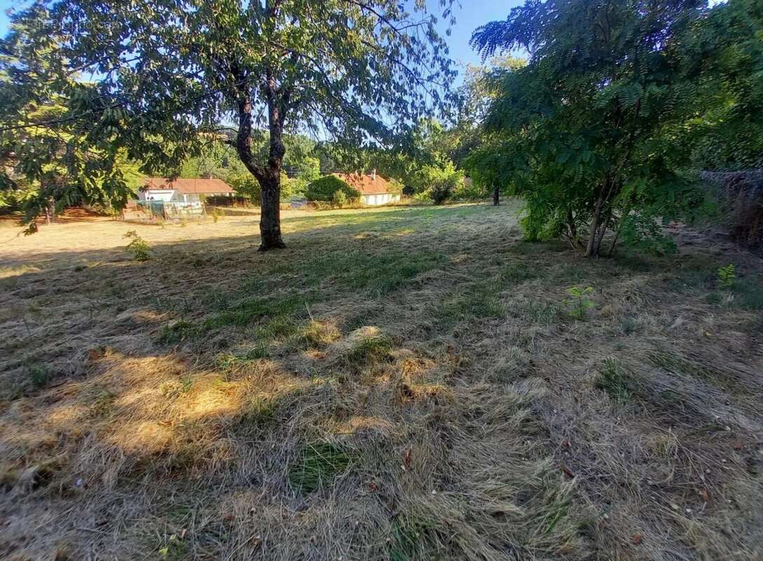 Terrain à CHAMPNIERS