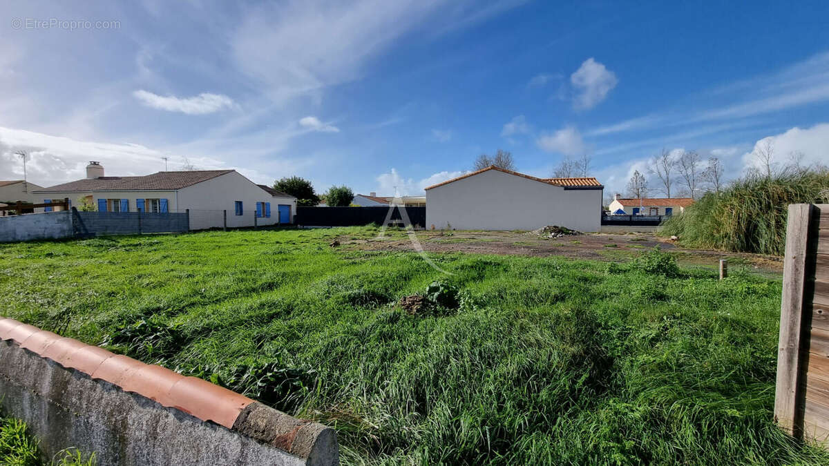 Terrain à LE PERRIER