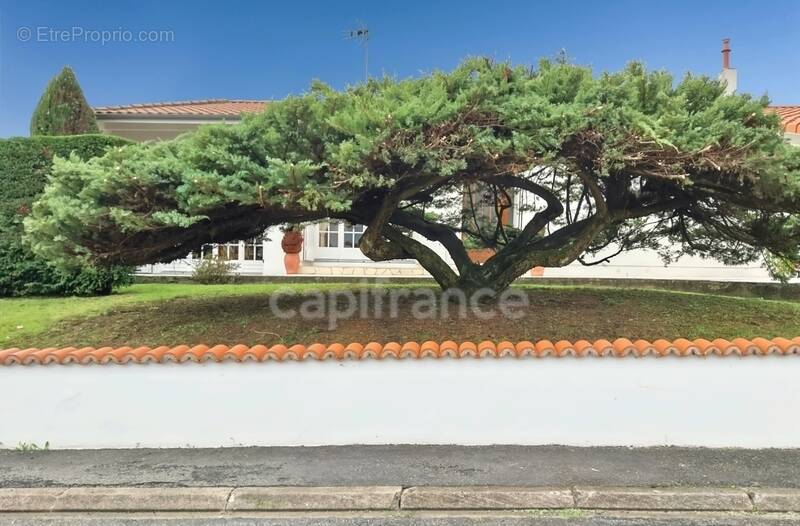 Maison à SAINT-PAUL-LES-DAX