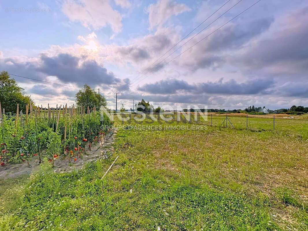Maison à SOINGS-EN-SOLOGNE
