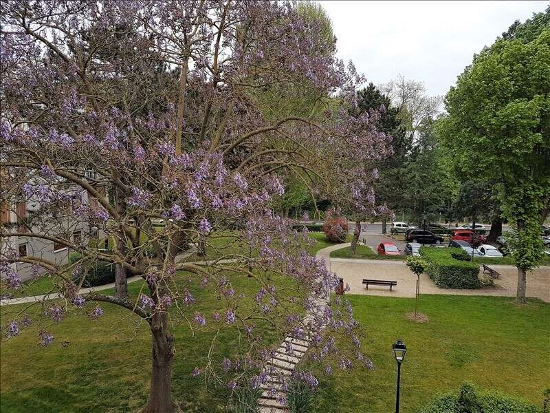 Appartement à MAISONS-LAFFITTE