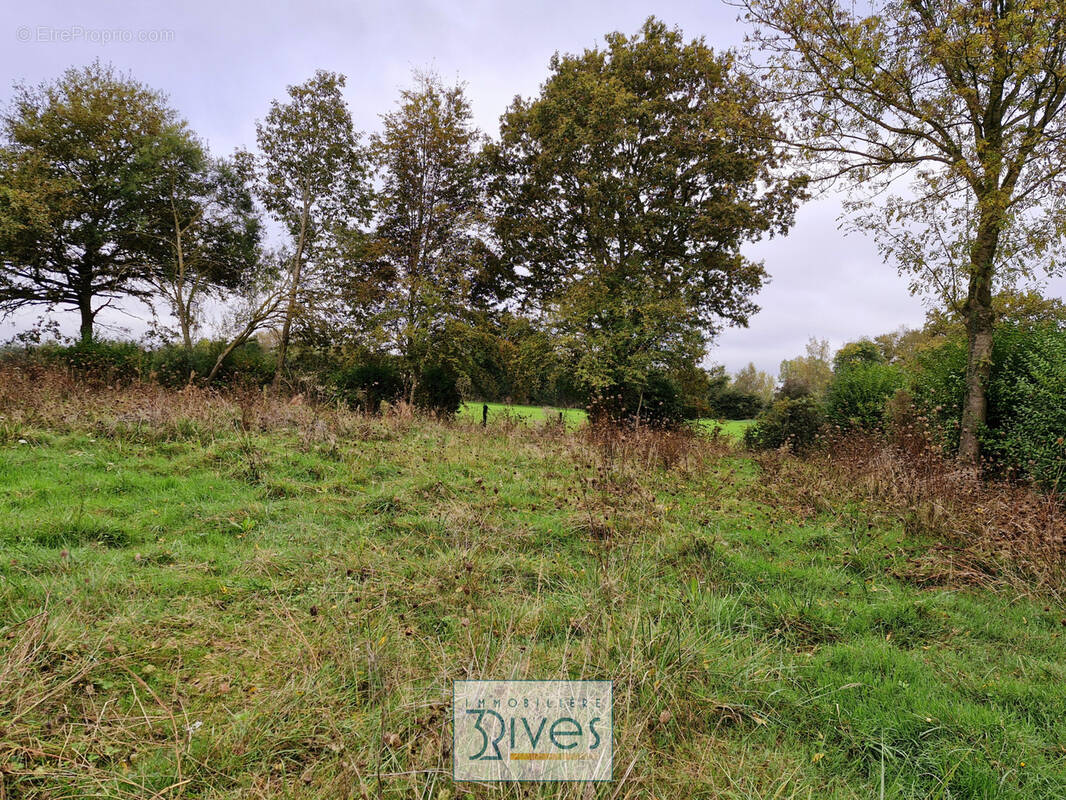 Terrain à THORIGNE-D&#039;ANJOU