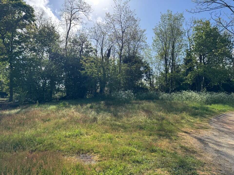 Terrain à LESPARRE-MEDOC