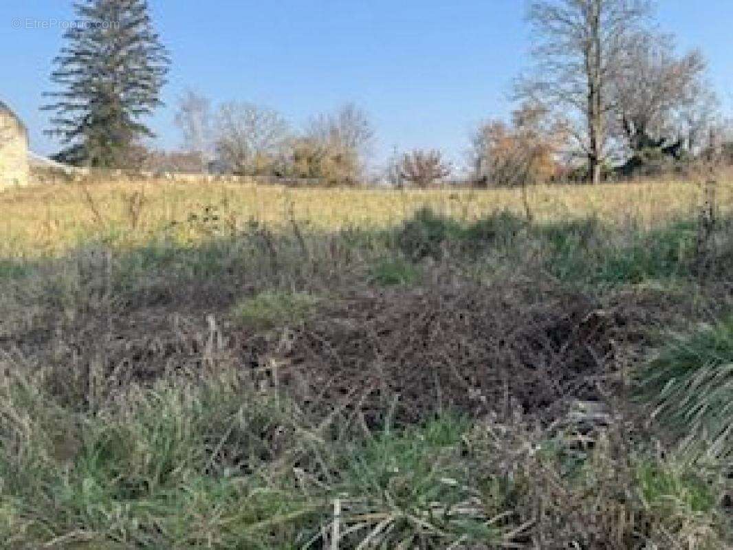 Terrain à CIRY-SALSOGNE