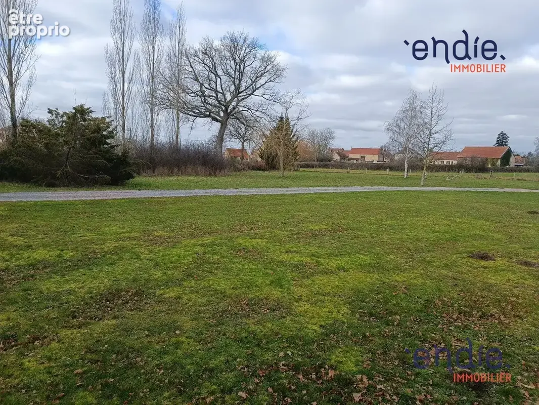 Terrain 2 916 m² à vendre à Saint-Angel (03170) - photo 2