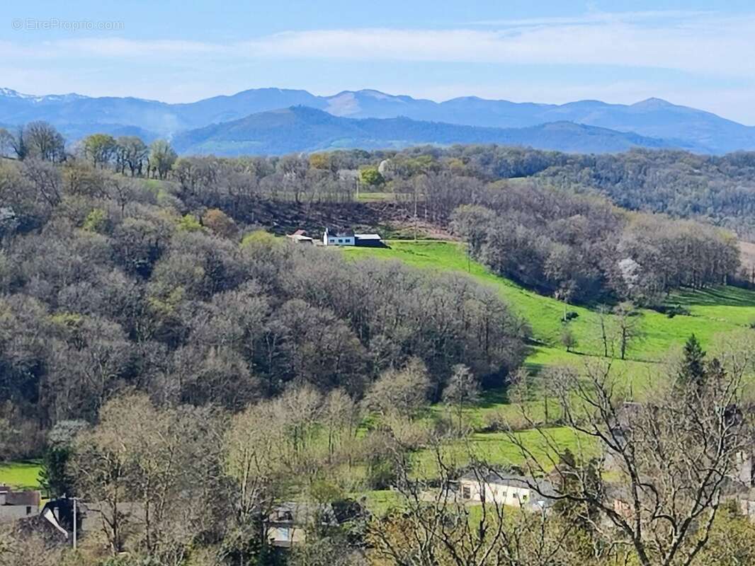 Maison à LUCQ-DE-BEARN