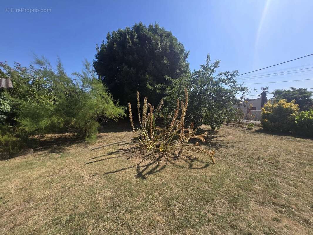 Maison 182 m² à Teuillac  - photo 15