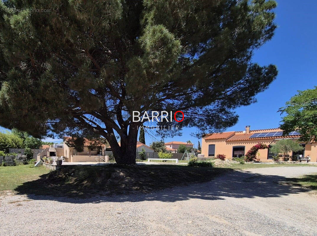 Maison à MONTESQUIEU-DES-ALBERES