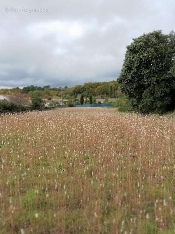 Maison à DURFORT-ET-SAINT-MARTIN-DE-SOSSENAC