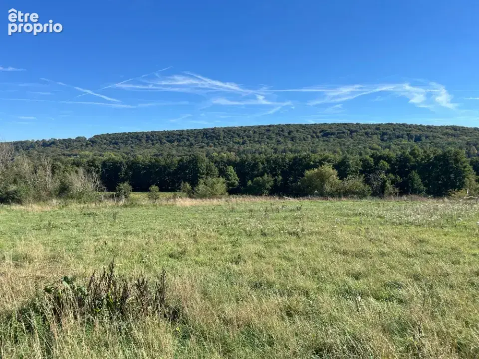 Terrain à RADEPONT