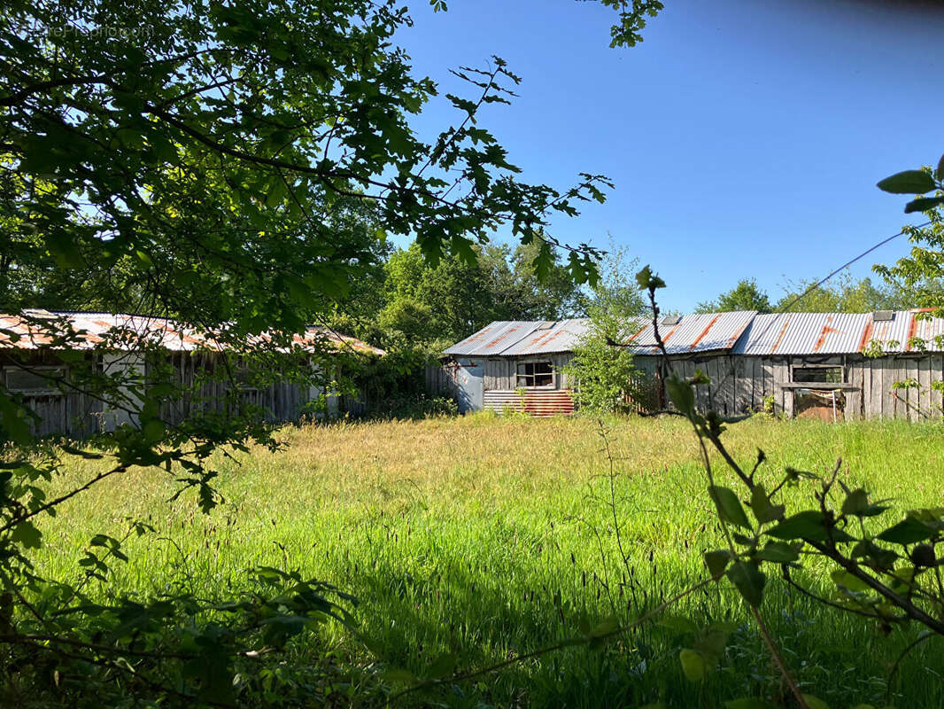Maison à COLLINEE