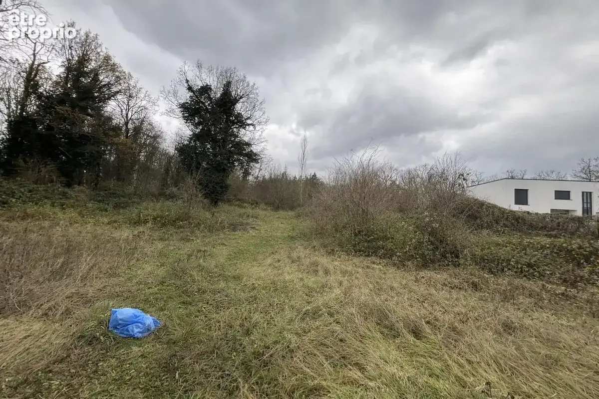 Terrain à VULAINES-SUR-SEINE