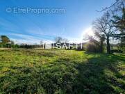 Photo 1 - Terrain à PLECHATEL