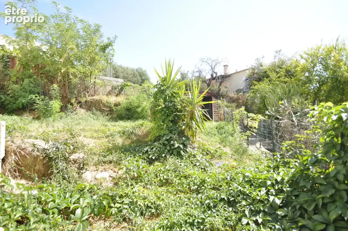 Ppartement /maison t3 propriano - photo 14