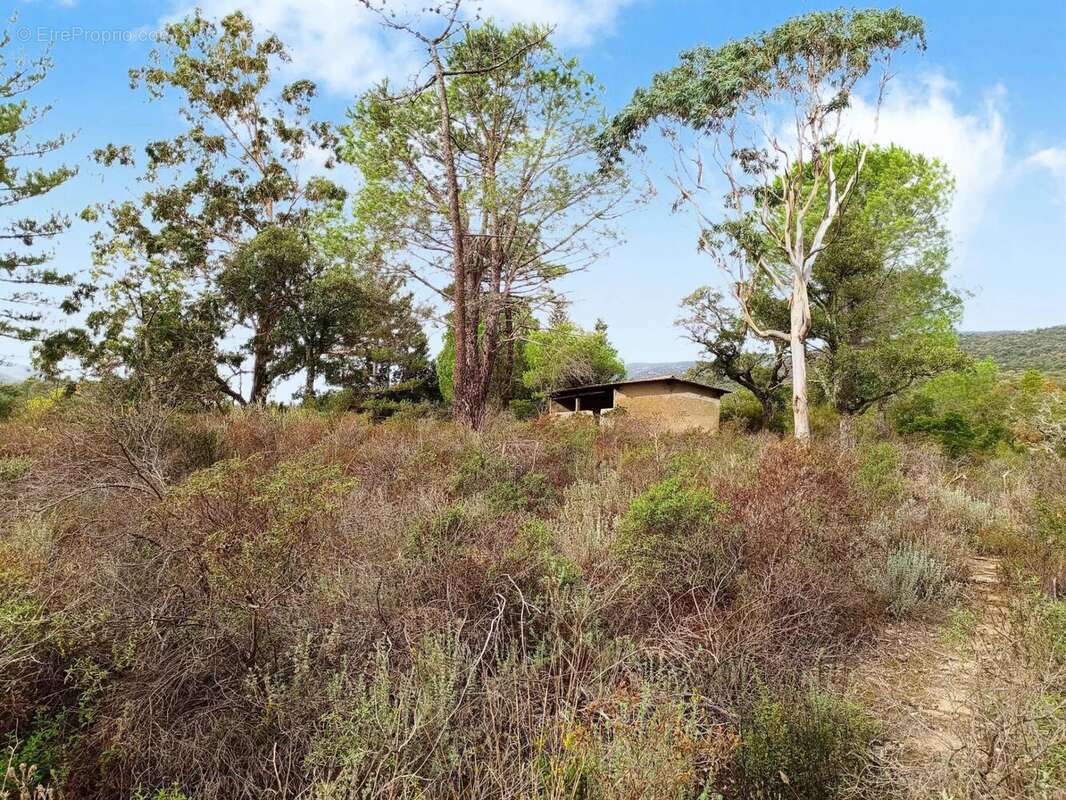 Maison à BORMES-LES-MIMOSAS