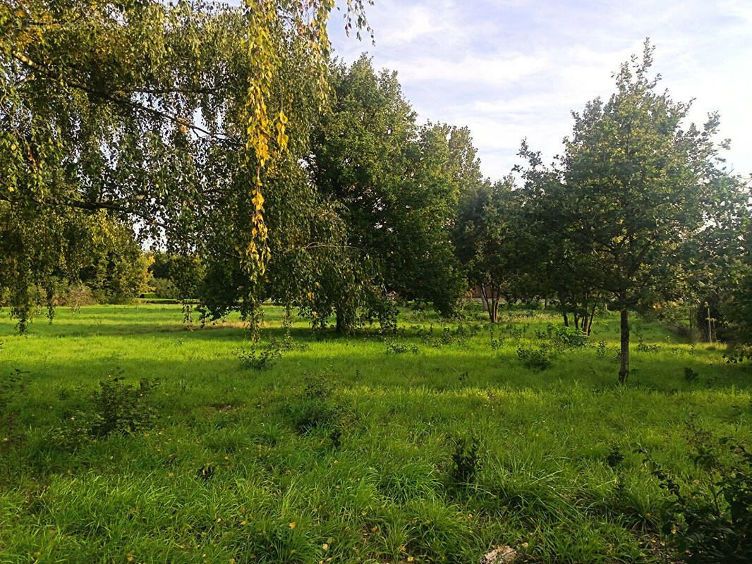 Terrain à SELLES-SUR-CHER