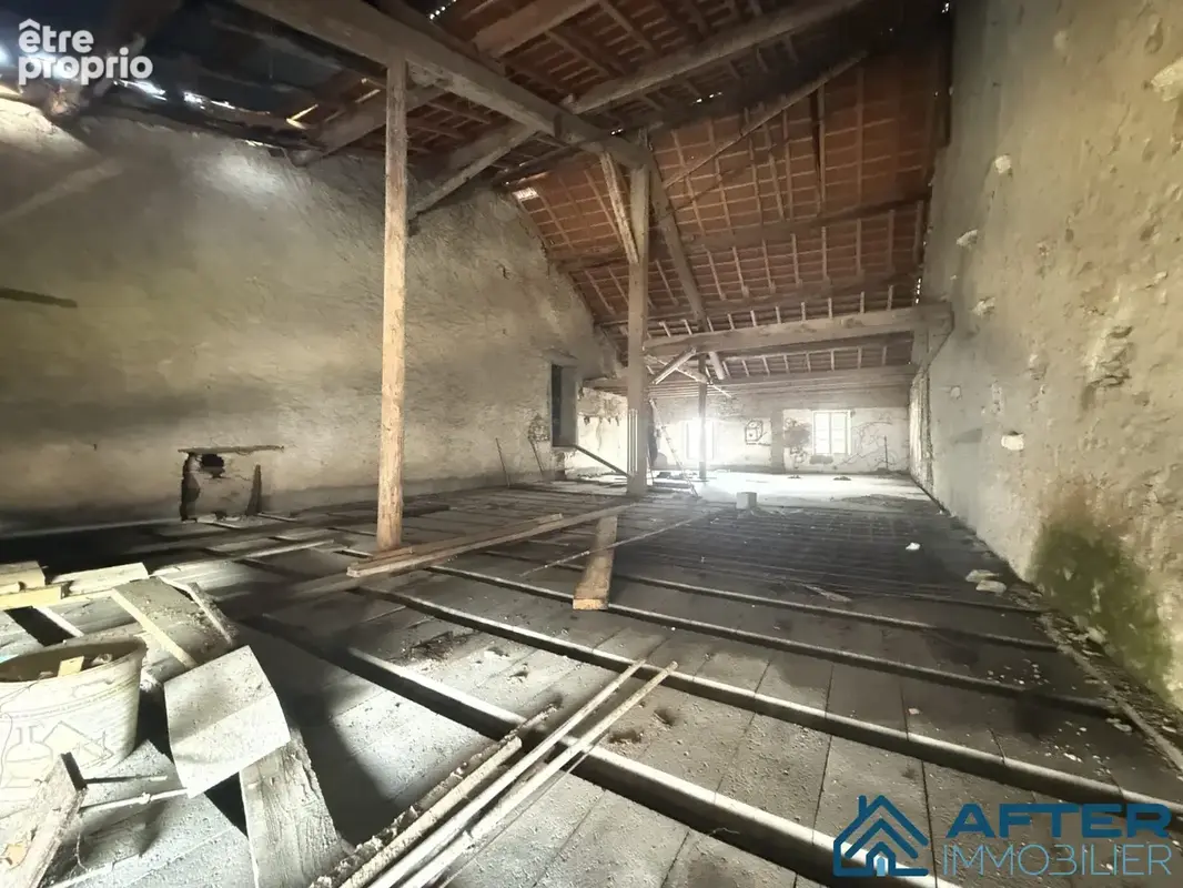 Maison 300 m² à Xermamenil  - photo 2