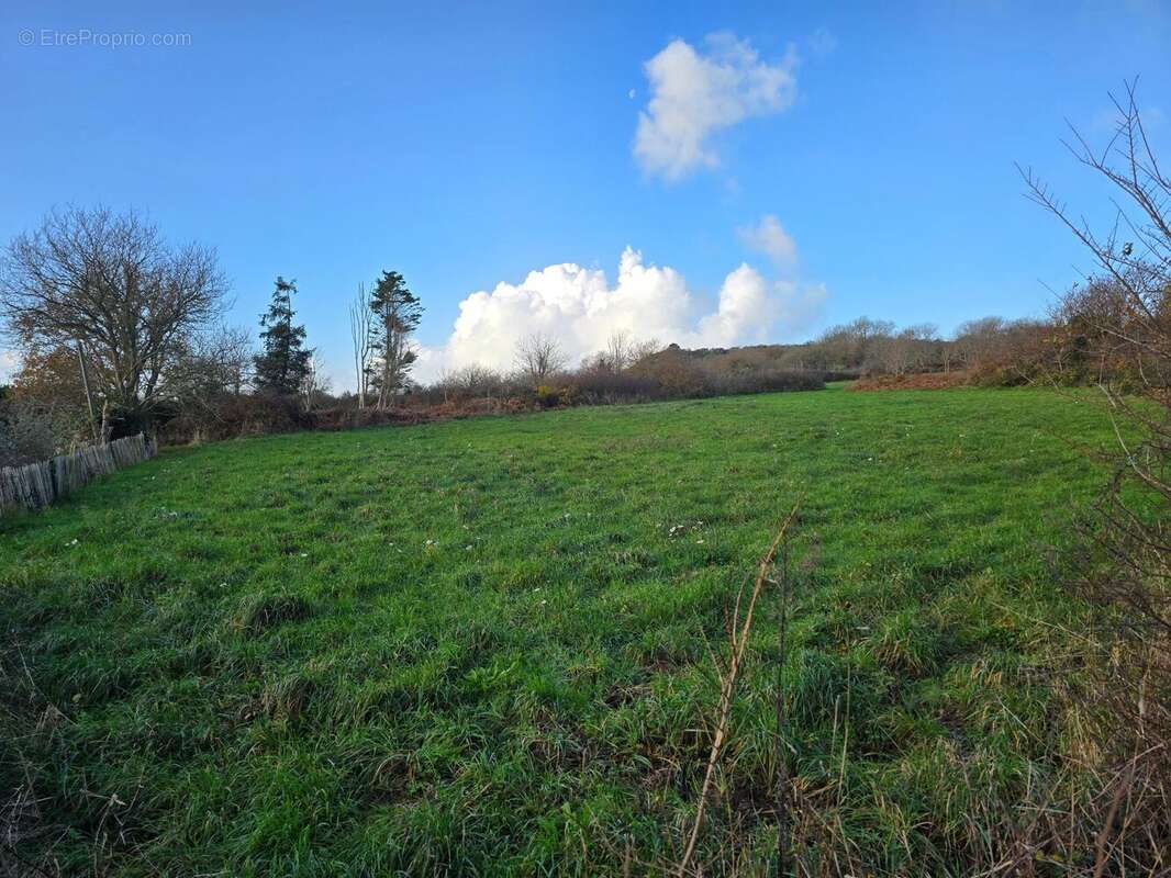 Photo 8 - Maison à CROZON