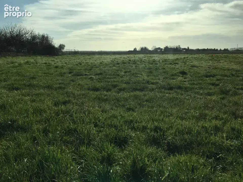 Photo Terrain à Bouglon au prix de 57 000€