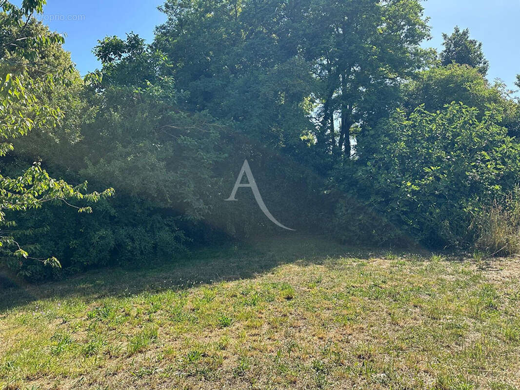 Terrain à SAINT-AGNANT