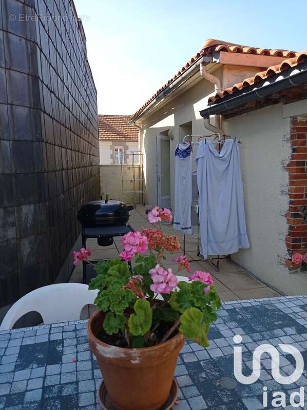 Photo 4