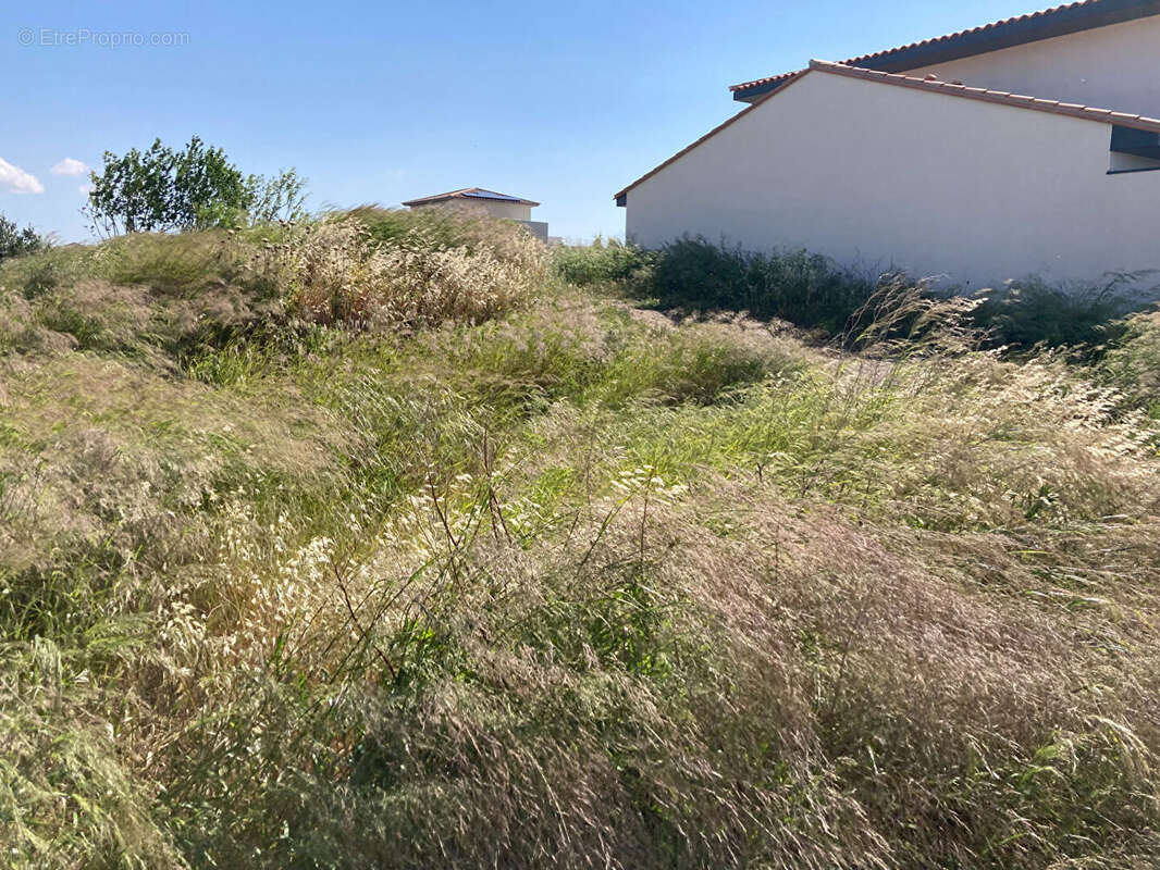 Terrain 304 m² à Ponteilla  - photo 3