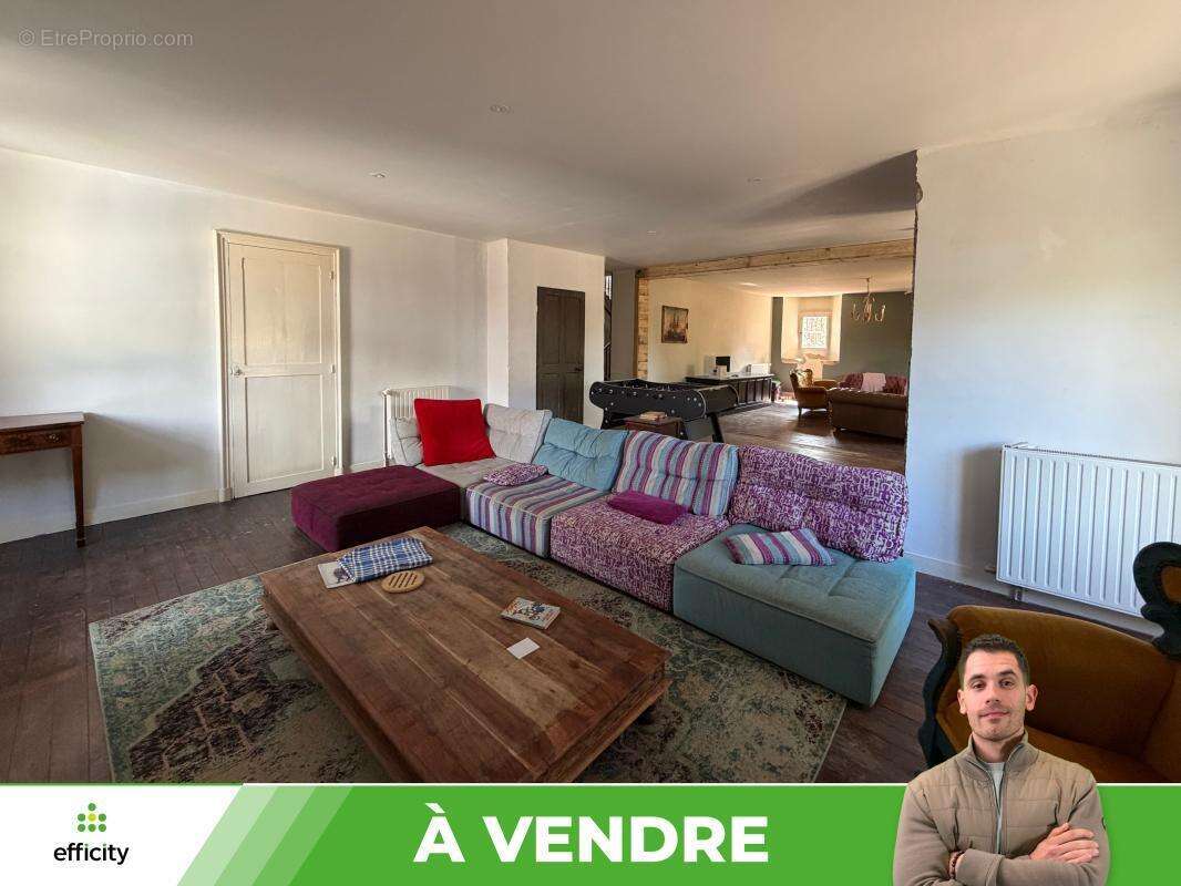 Maison 10 pièces 371 m² à vendre à Availles-Limouzine (86460) - photo 9