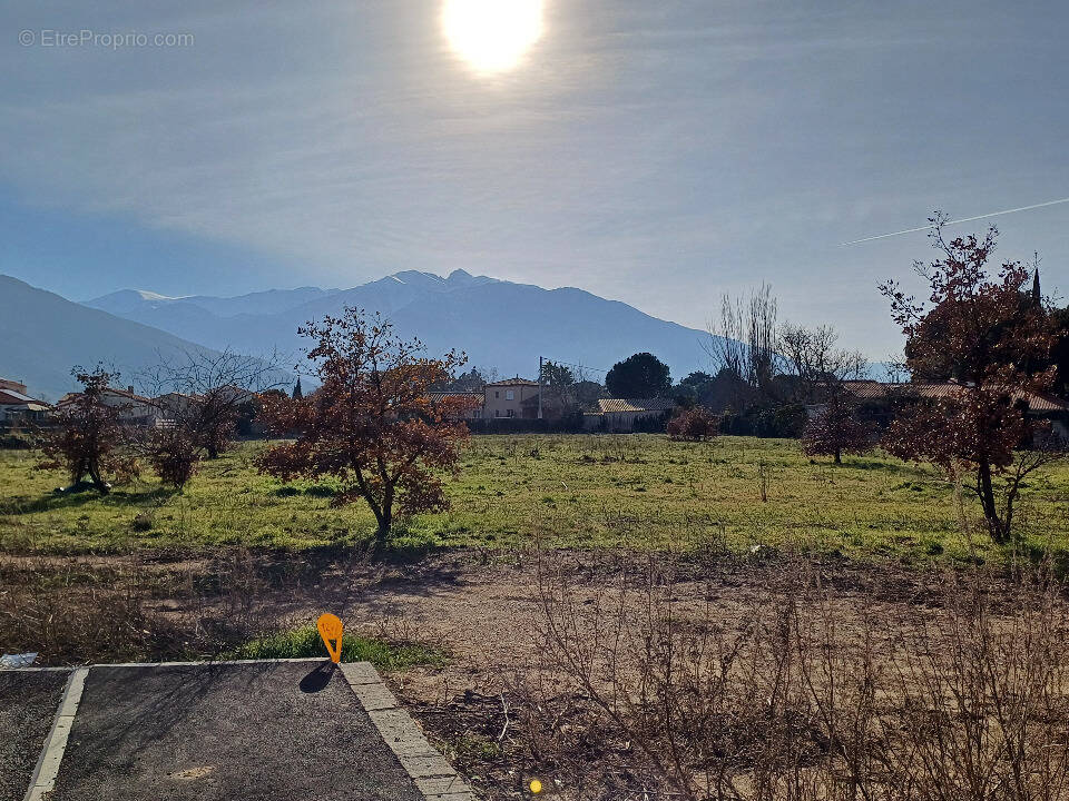 Terrain à VINCA