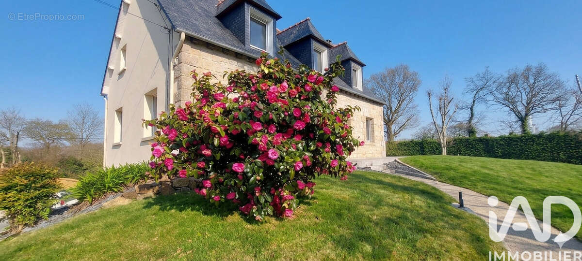 Photo 2 - Maison à SAINT-ALBAN
