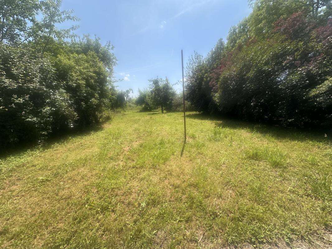 Maison 74 m² à Saint-Pierre-De-Cormeilles  - photo 2
