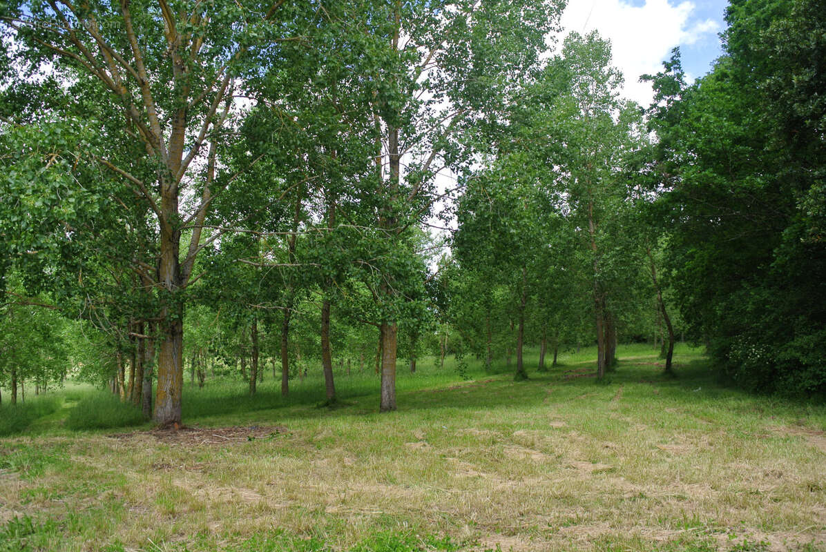 Maison à MAUVEZIN-SUR-GUPIE