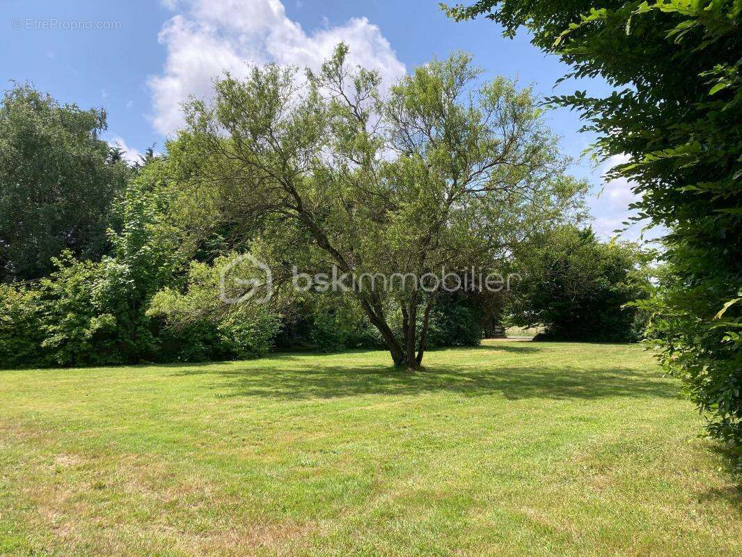 Maison à LE LOUROUX