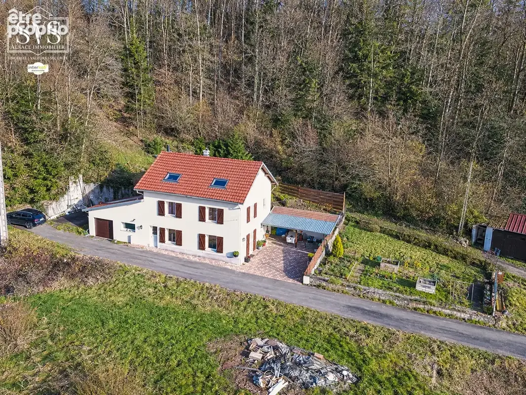 En exclusivité   maison de caractère avec jardin et terrasses à saint-dié-des-vosges - photo 3