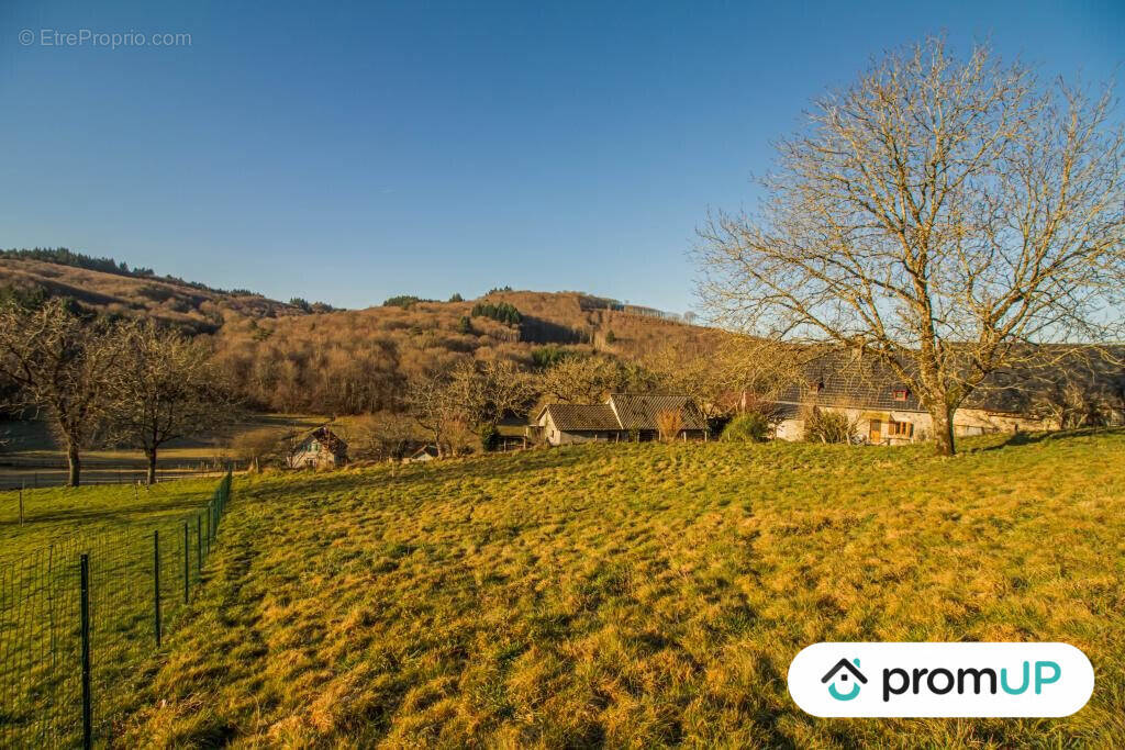 Terrain à SAINTE-FORTUNADE