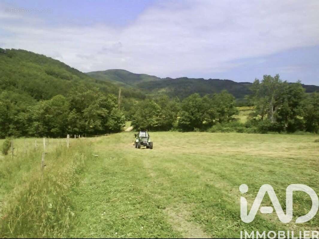 Maison 251 m² à Festes-Et-Saint-Andre  - photo 2