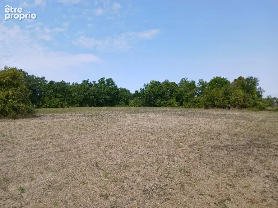 Terrain 23 620 m² à vendre à Saint-Martin-De-Riberac (24600) - photo 2