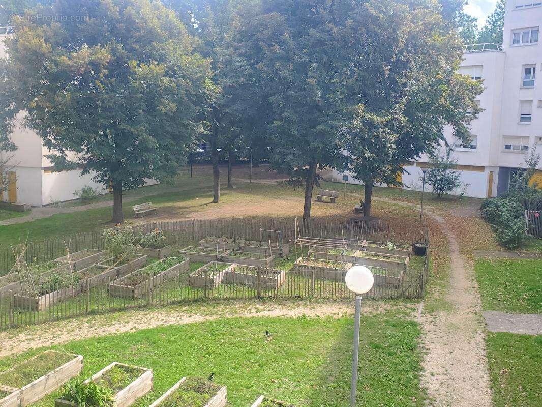 Beau T3 avec balcon et cave - photo 2