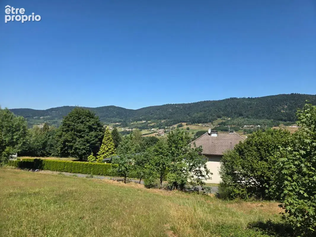 Maison d'architecte Le Syndicat - photo 2