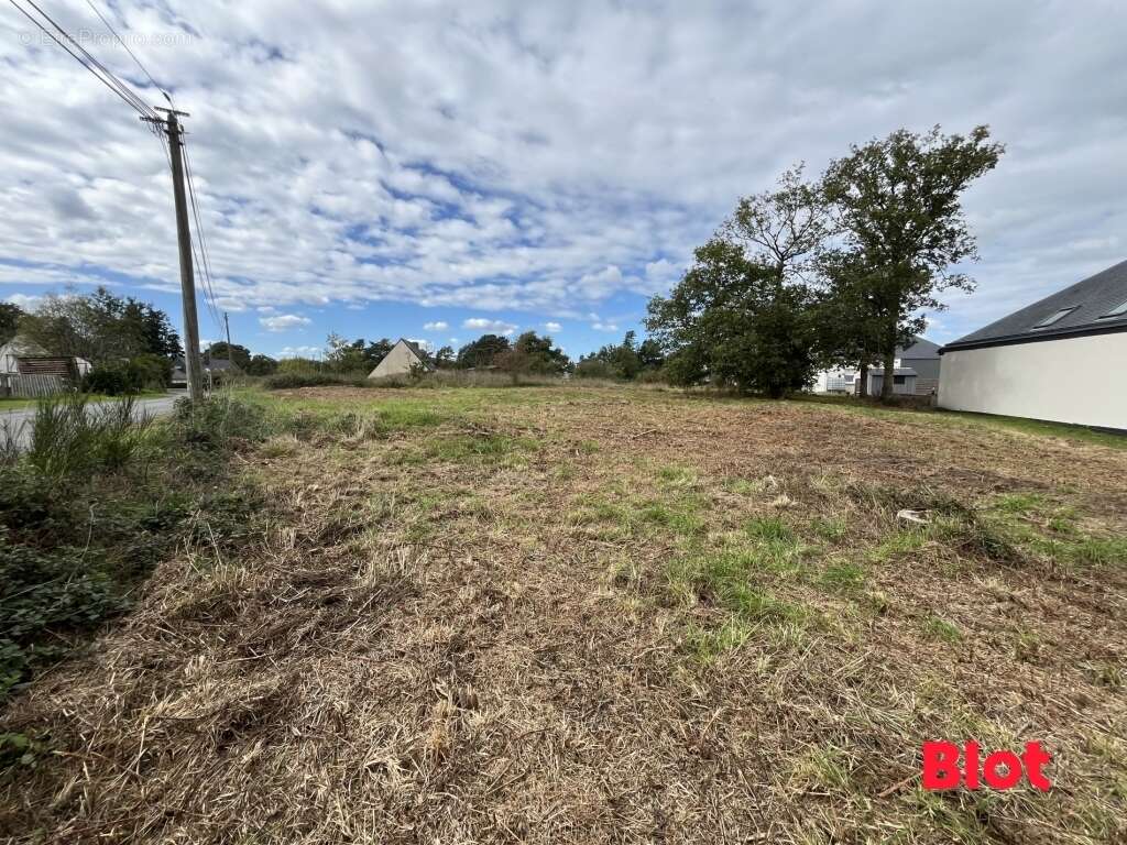 Terrain à SAINT-THURIAL