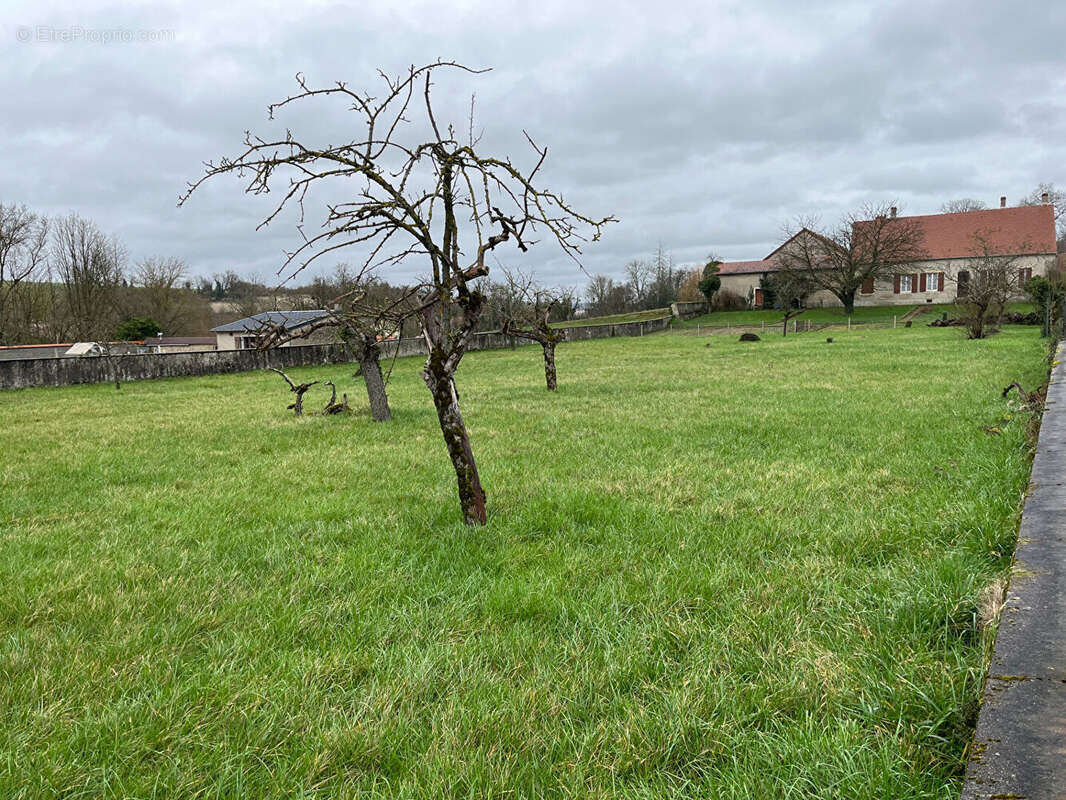 Terrain à GERMIGNY-SUR-LOIRE