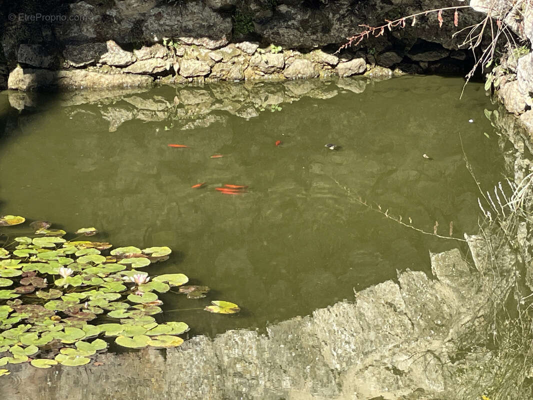 Maison à VIC-FEZENSAC