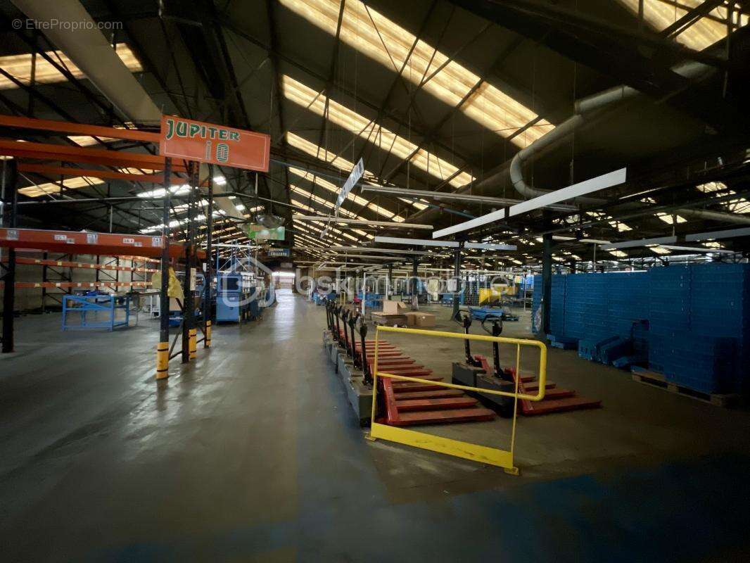 Commerce à CREUTZWALD