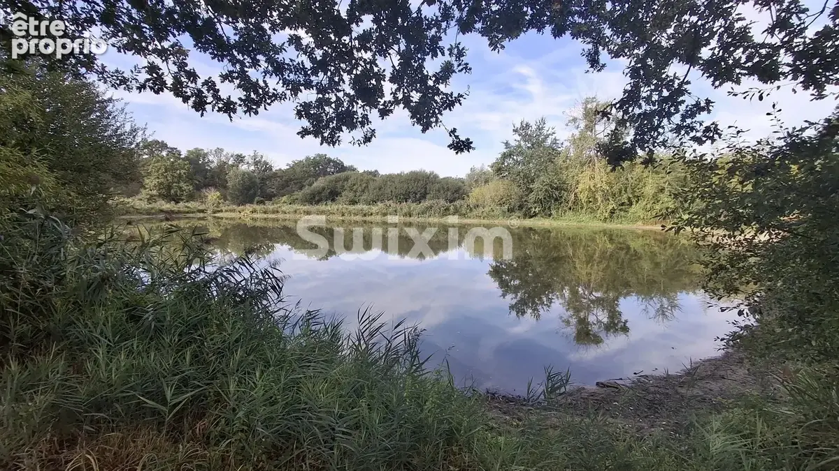 Terrain d'exception avec étang privé en Sologne - photo 2