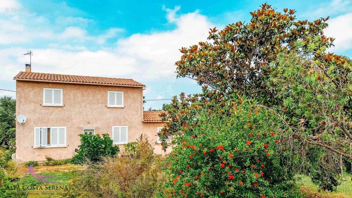 Maison T4 avec dépendance - photo 30