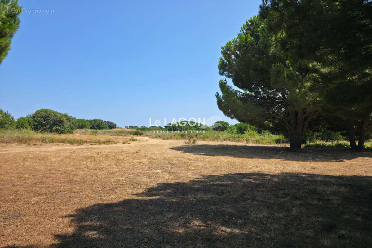 Terrain 430 m² à Latour-Bas-Elne  - photo 3